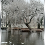 Frozen Lake