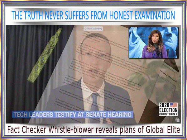 AniVideoSlidesFactCheckFacebookWhistleBlower1s600X400