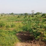 Land Campaign