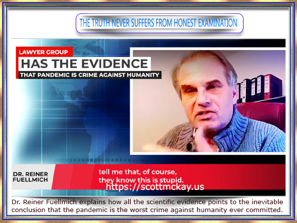 AniVideoSlidesDrReinerFuellmich600X400