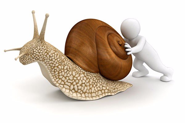Snail Mail 