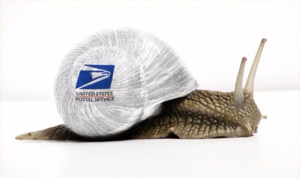 Snail Mail 