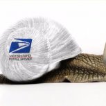 Snail Mail 