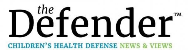 TheDefender