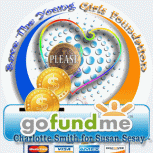 Go Fund Me