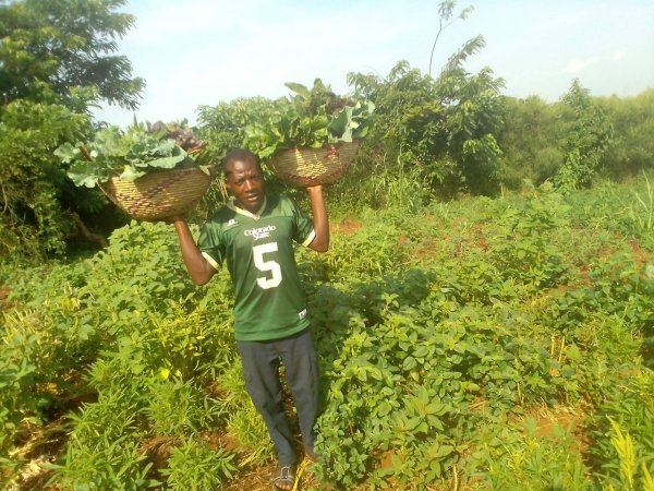 Gracious International Ministry G.I.M  Farming Uganda 
