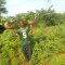 Gracious International Ministry G.I.M  Farming Uganda 
