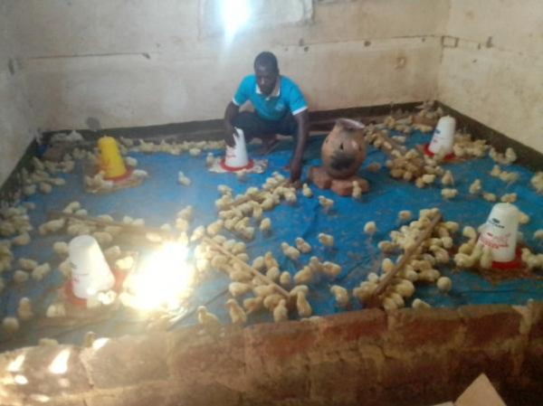 Poultry Farming