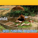Fundraiser for Piggery Project