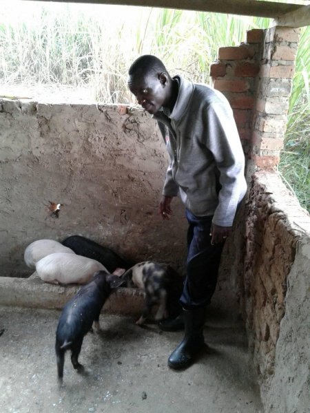 SARMIPiggeryProject13