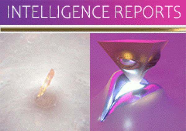 Intelligence Reports