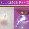 Intelligence Reports