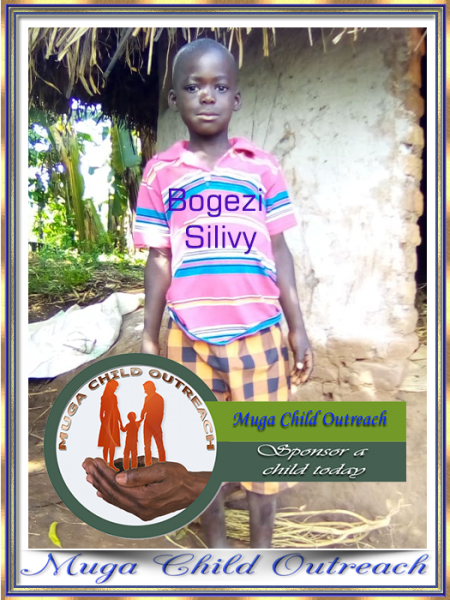 Bogezi Silivy