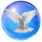 Divine Mercies International Ministry Group Icon