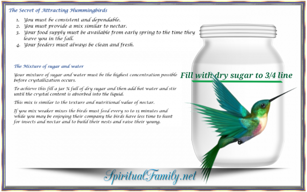Hummingbird Feeder Mixture 