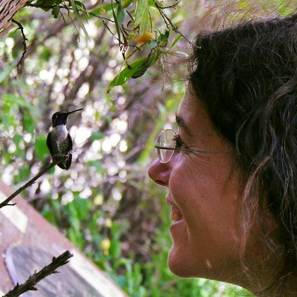 Hummingbirds