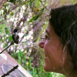 Hummingbirds
