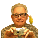 Dick Bain Profile