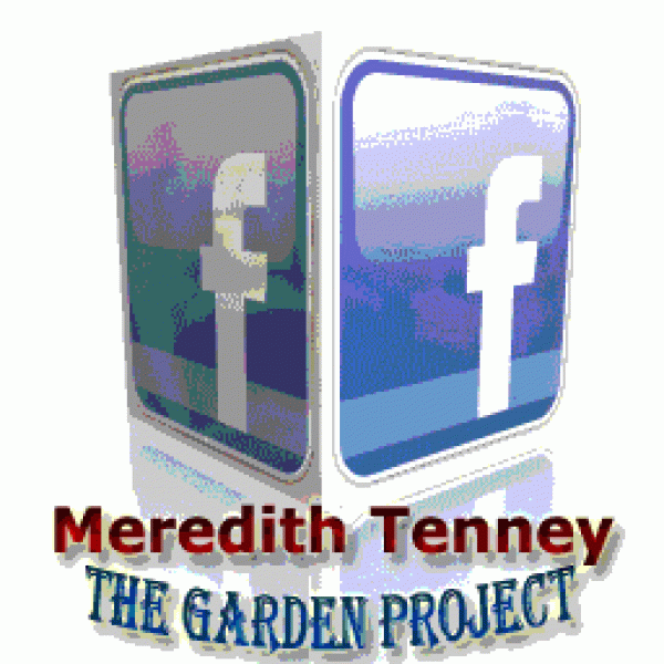 Meredith Garden Project