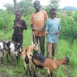 RCM The Children's Daily Activities 