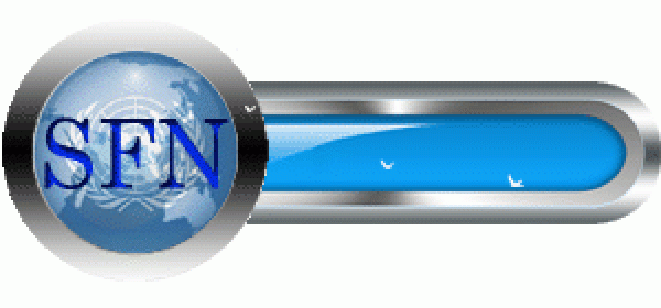 SFN Campaign Please Donate Button 300x140