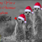 AfricaChristmas02psd