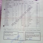 School Reports Rodgers Muhereza Education Campaign