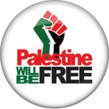 Palestine Icon