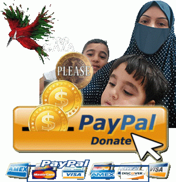 PayPal Gaza Families