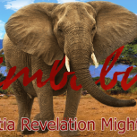 Zimbabwe Urantia Revelation Mighty Messengers Banner,