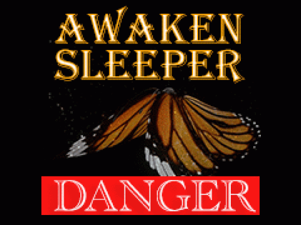 Awaken Sleeper