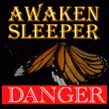 Awaken Sleeper