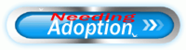 Menu Needing Adoption Menu