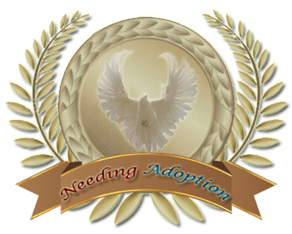 Needing Adoption Badge