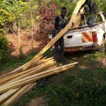 Almost done with offloading timbers