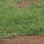 RCM Church Land & Project Construction