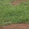 RCM Church Land & Project Construction