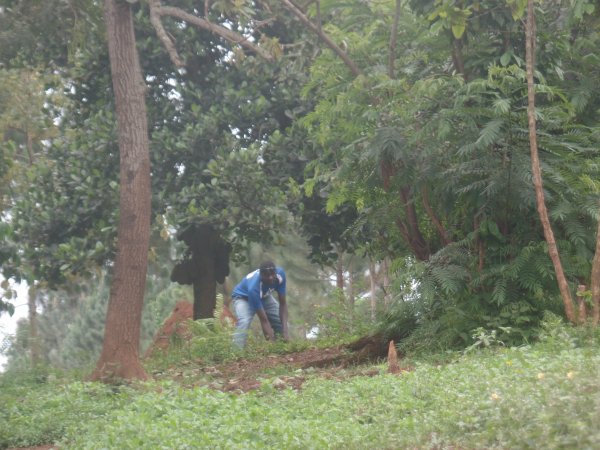 RCM Church Land & Project Construction  