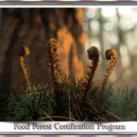 FoodForestSlides03