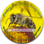 Apiary Bee Keeping - Food Forest Program