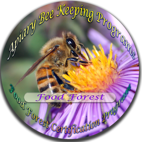 Apiary Bee Keeping - Food Forest Program