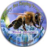 Apiary Bee Keeping - Food Forest Program