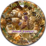 Apiary Bee Keeping - Food Forest Program