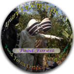 Apiary Bee Keeping - Food Forest Program