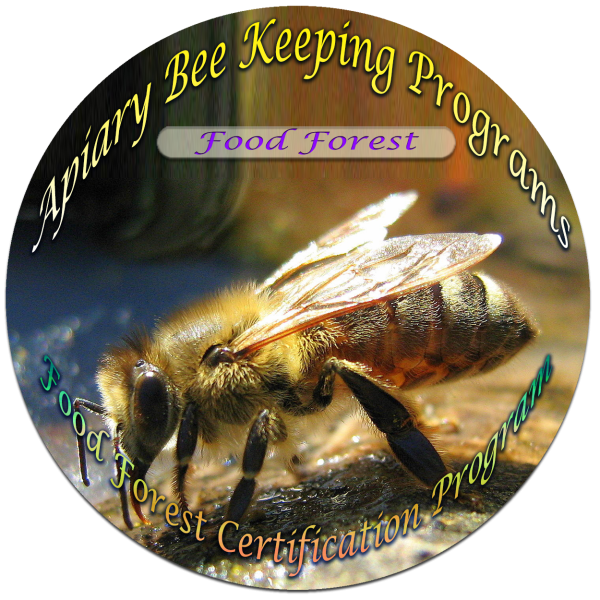 Apiary Bee Keeping - Food Forest Program