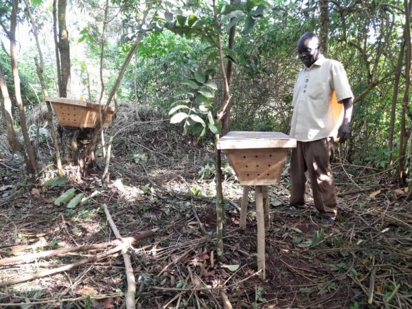 Food Forest Bee Keeping Apiary