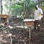 Food Forest Bee Keeping Apiary