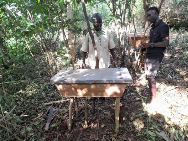 Food Forest Bee Keeping Apiary