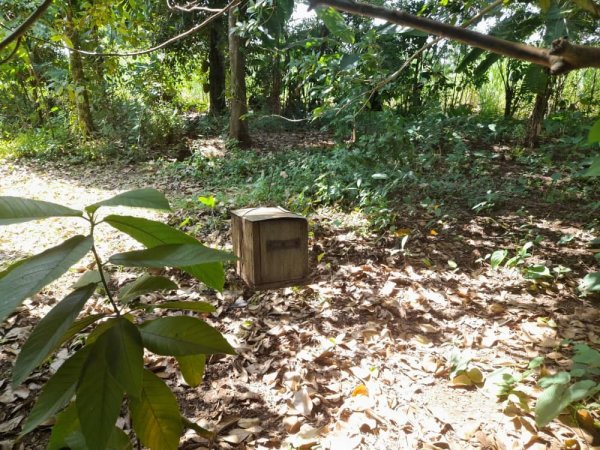 Food Forest,Bee Keeping Apiary,