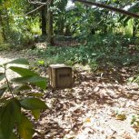 Food Forest,Bee Keeping Apiary,